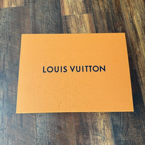 Louis Vuitton Damier Ebene Odeon MM Black - Picture 11 of 12